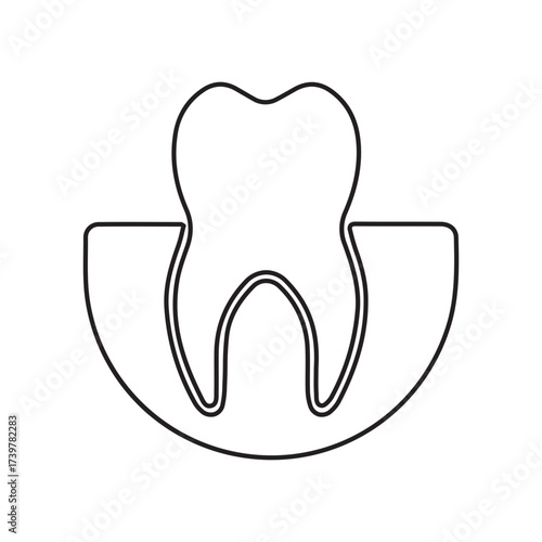 Healthy Tooth Outline