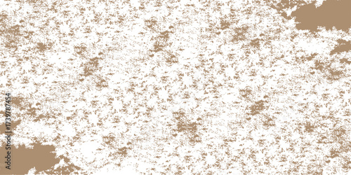 Macro closeup of white rice background with a grain texture on a natural stone surface. grunge, sponge