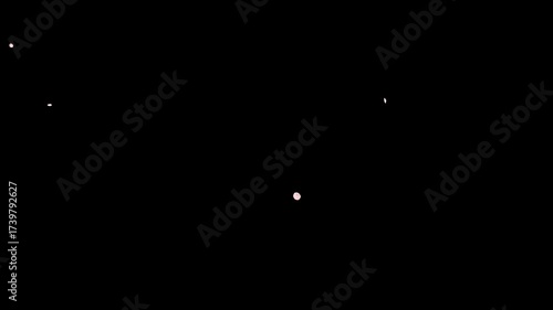 Pink cherry blossoms in full bloom in spring dance in the sky.looping video.[Sakura 2_Size: Mix, Speed: Normal, Amount: Large, No Depth of Field]