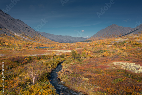 Autumn lapland tundra landscape with golden foliage, rugged mountains and river under a clear blue sky.