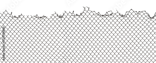 The texture of the metal mesh on a white background. Torn steel, metal mesh with holes