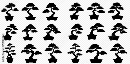 Collection of black silhouette bonsai trees in various styles and shapes, potted in traditional containers, on a transparent background.