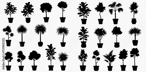 Set of various potted plant silhouettes, including different tree and shrub shapes, ideal for graphic design elements.