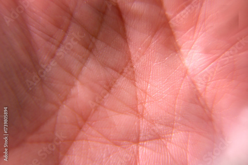 Wallpaper Mural Human palm skin texture showing life lines Torontodigital.ca