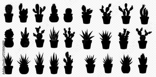 A collection of black silhouette icons featuring various potted cacti and succulent plants against a transparent background.