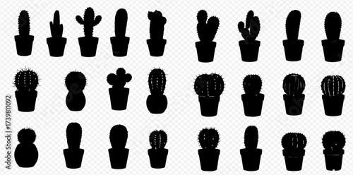 Silhouetted cacti in pots, arranged in rows, against a transparent background.