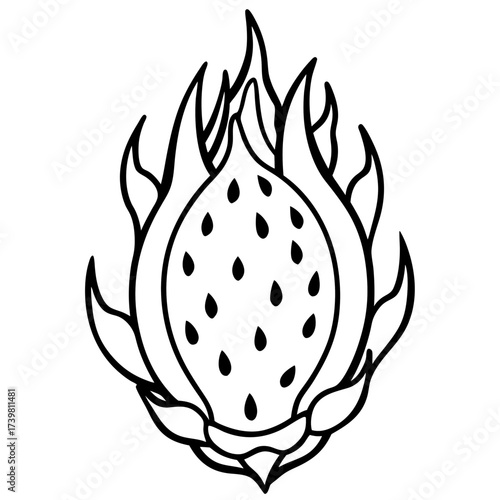 dragon fruit on a black background
