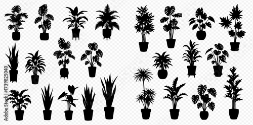 A collection of diverse potted houseplant silhouettes, showcasing various indoor foliage types against a transparent background.