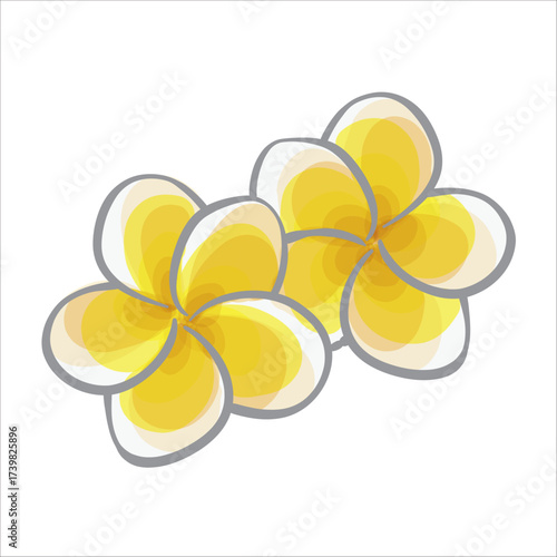 Frangipani Hand Drawing Vector Illustration