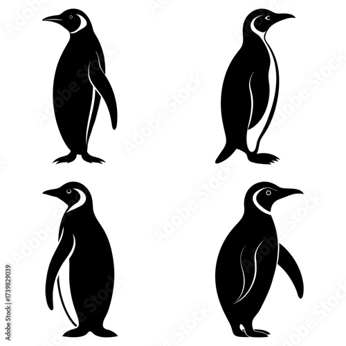 Four monochrome penguin illustrations in a grid pattern against a white background design element