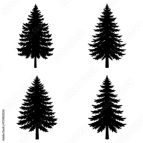 Four evergreen trees with dense foliage in silhouette against a white background in a symmetrical arrangement