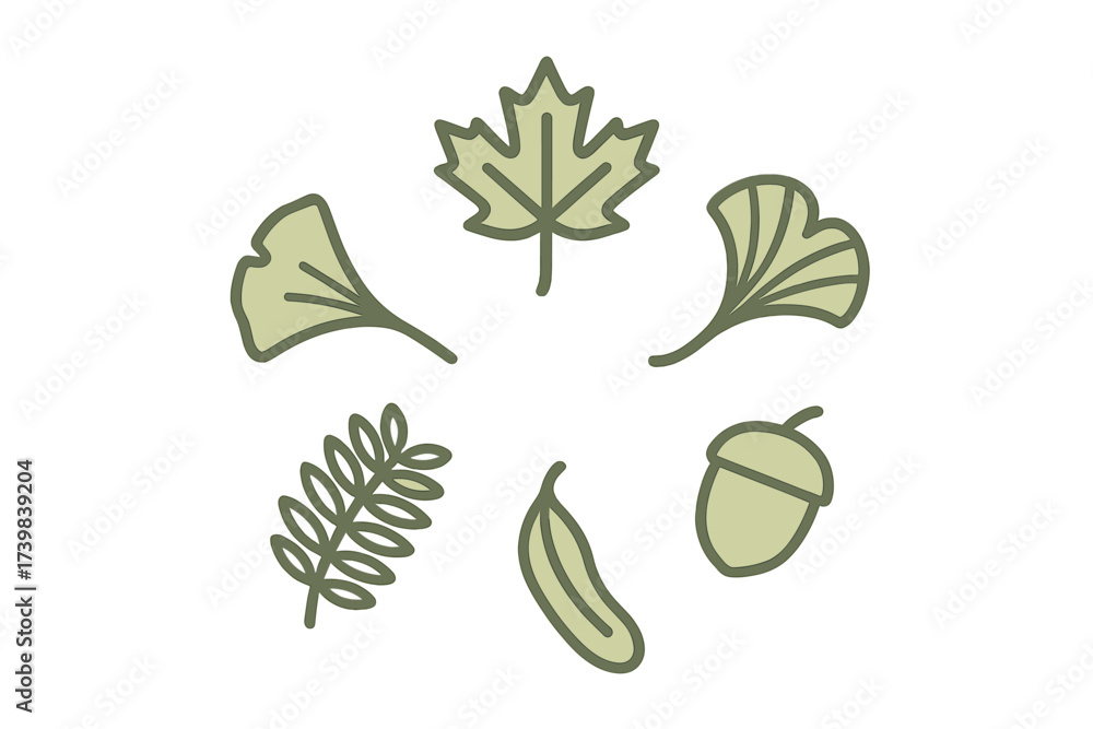 Naklejka premium Stylized collection of various tree leaves, including maple and ginkgo, and an acorn