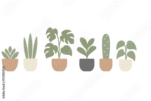 Minimalist collection of six potted houseplants and succulents in earthy tones