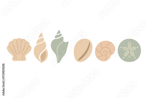 Collection of various seashells and marine mollusks including sand dollar in soft pastel colors