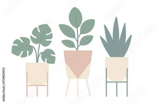 Three modern potted houseplants in pastel colors on white background
