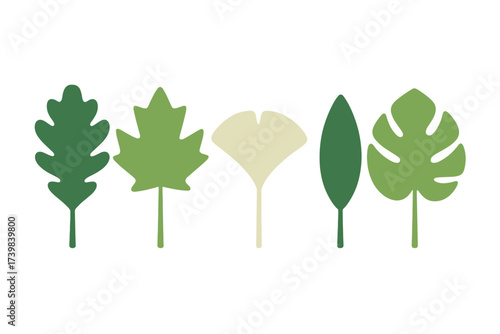 Minimalist collection of diverse botanical foliage shapes and natural plant elements