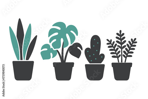 Minimalist collection of four potted indoor houseplants including snake plant, monstera, and cactus