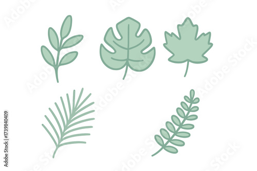 Stylized green foliage elements including tropical monstera and maple leaf shapes