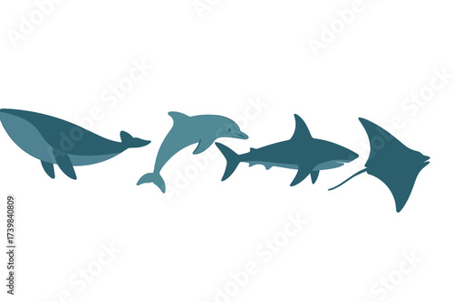 Collection of marine animals including whale, dolphin, shark, and manta ray