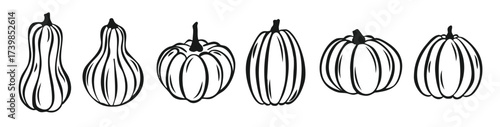pumpkin hand drawn set for thanksgiving day or halloween