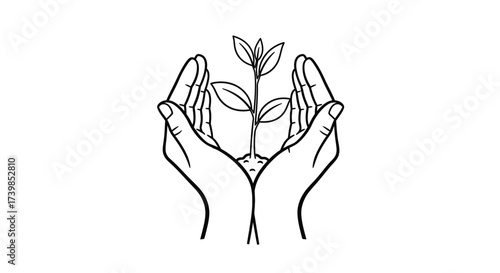 Hands gently cupping a young plant seedling growing from soil, symbolizing care and growth.