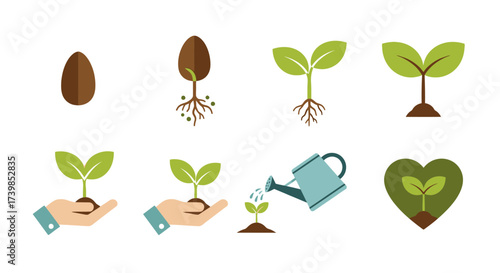 Illustration showing the stages of plant growth, from seed to seedling, including watering and nurturing.