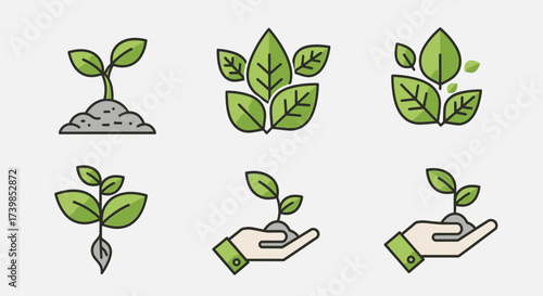 Six illustrations depicting plant growth, including seedlings sprouting from soil and a hand holding a plant.