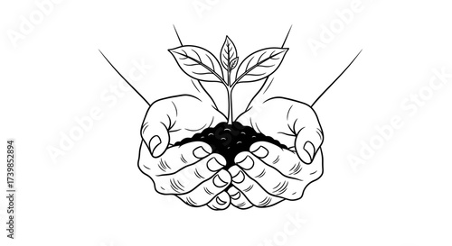 Hands holding soil with a small plant growing out of it, symbolizing growth and care.