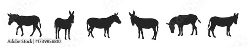  Hand drawn donkey silhouette vector