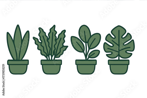 Set of stylized indoor houseplants including monstera fern and succulent in green pots