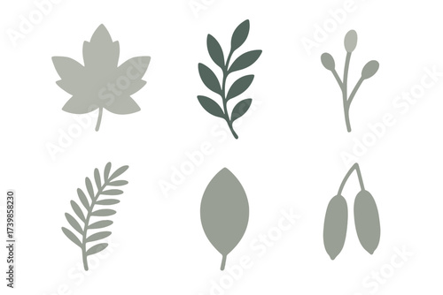 Minimalist collection of various natural foliage shapes and berries in soft green tones