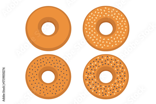 Four baked bagels set: plain, sesame, poppy seed, and everything varieties