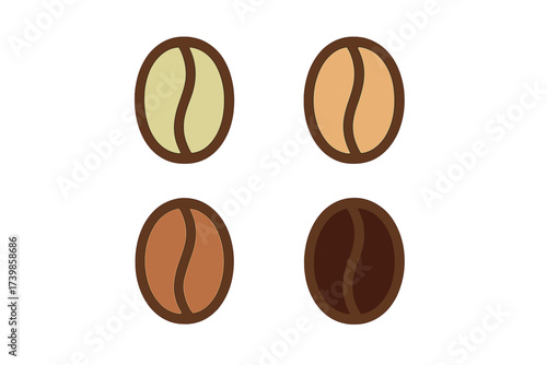 Four coffee beans displaying various roasting stages from raw green to fully dark roasted