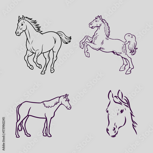 Black stallion vector silhouette illustration running with a flowing mane for an equine logo design
