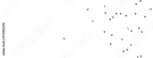 XMAS Holiday golden decorat...