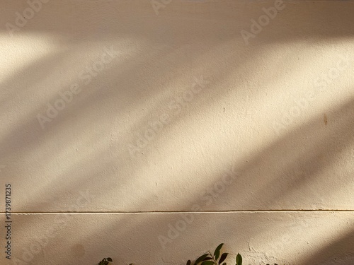 An empty wall background with the tree shadow and a copy space for your work. A faint shadow on the wall.
