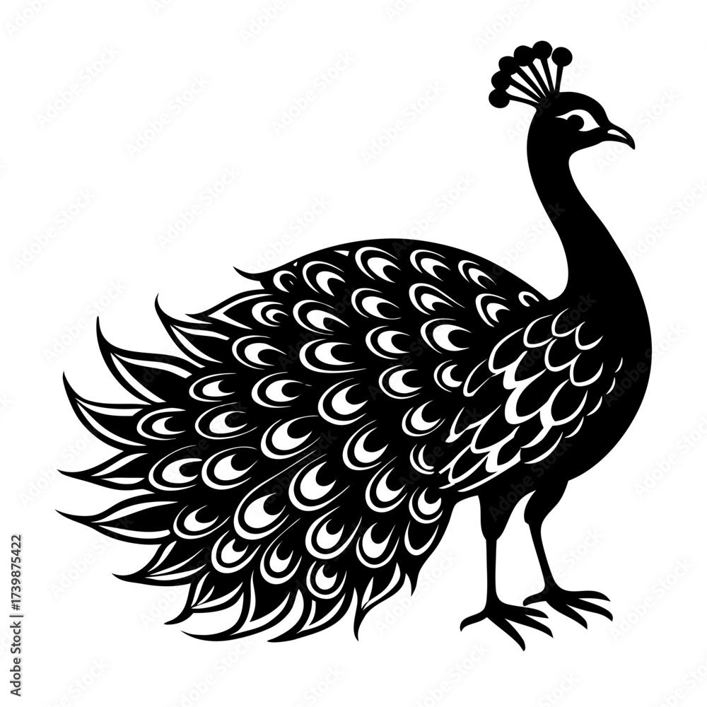 Naklejka premium peacock vector illustration