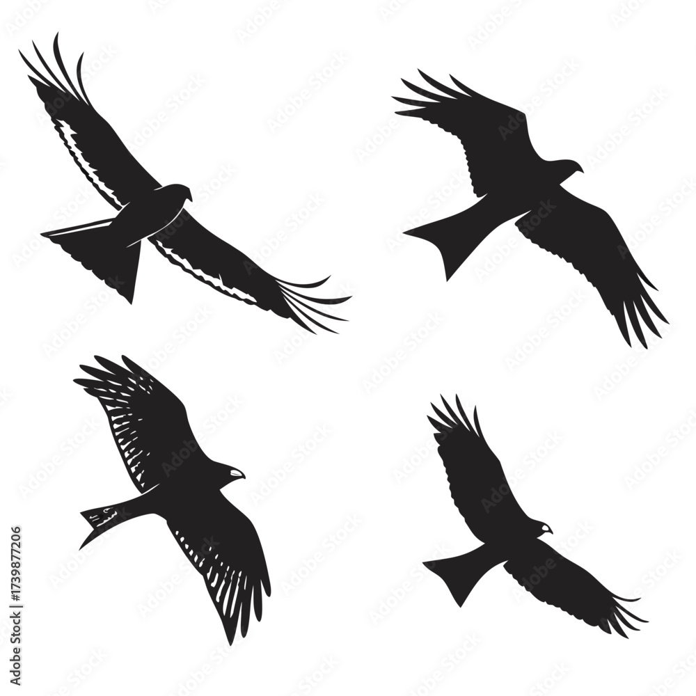 Fototapeta premium set of silhouettes of kite birds