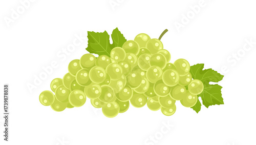 Bunch of fresh green grapes isolated on white background. Vector cartoon flat illustration. Fruit icon.