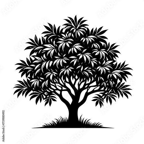 Black and White Vector Silhouette of Indian Mango Tree
