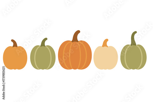 Colorful autumn pumpkins and gourds lined up in a row on white background