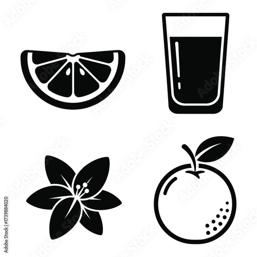 Four icons of citrus fruit orange slice glass of juice orange blossom flower and whole orange fruit set silhouette