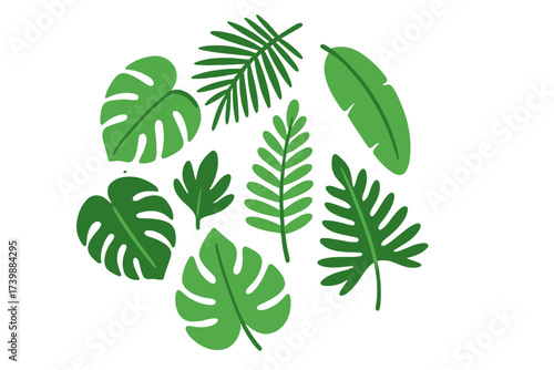 Collection of exotic green tropical jungle leaves and palm fronds isolated on white background