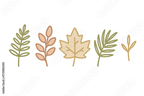 Minimalist collection of various seasonal leaves and botanical elements in earthy colors