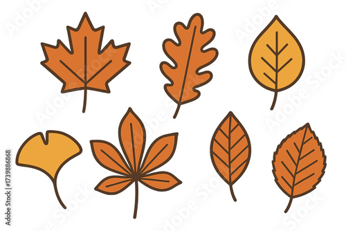 Collection of various autumn tree leaves showing seasonal change and fall foliage colors