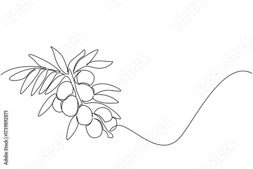 Continuous one line drawing olives attached to branches with lots of leaves. Ready to be harvested for the benefit of many people. National Olive Day. Single line draw design vector illustration