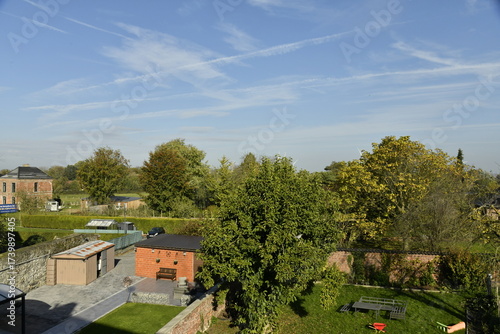Wallpaper Mural Feuillage en début d'automne sous un ciel bleu à Ghislenghien (Ath)  Torontodigital.ca