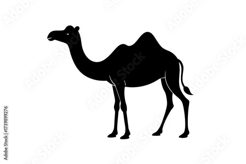 Silhouette of a standing camel art on transparent background