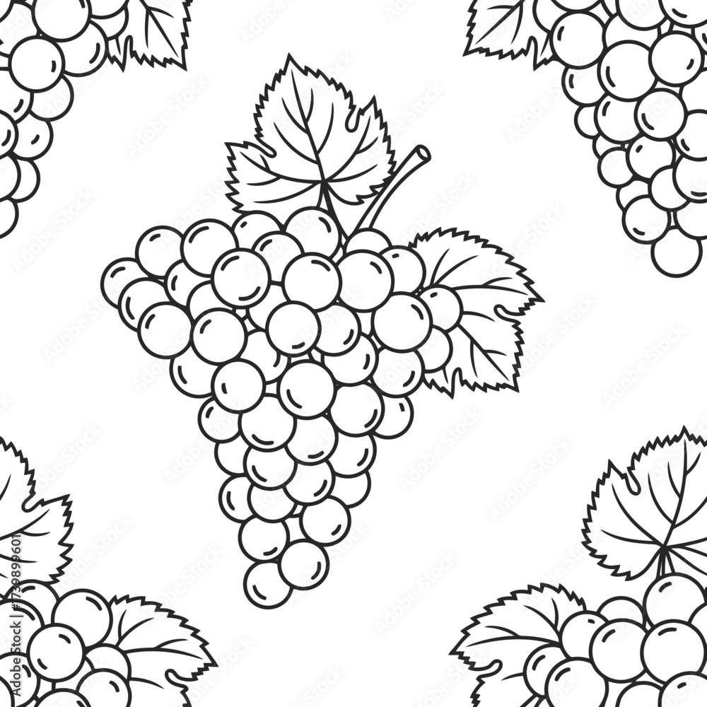 Fototapeta premium vector illustration of grapes
