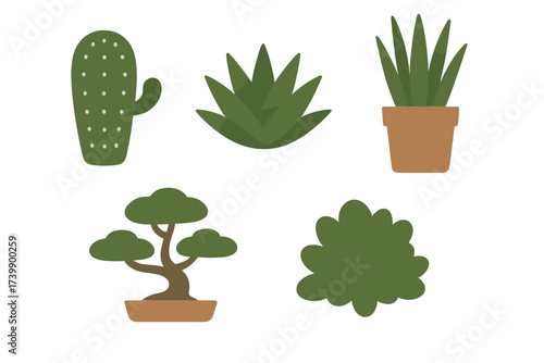 Set of five potted houseplants including succulents, cactus, and bonsai tree